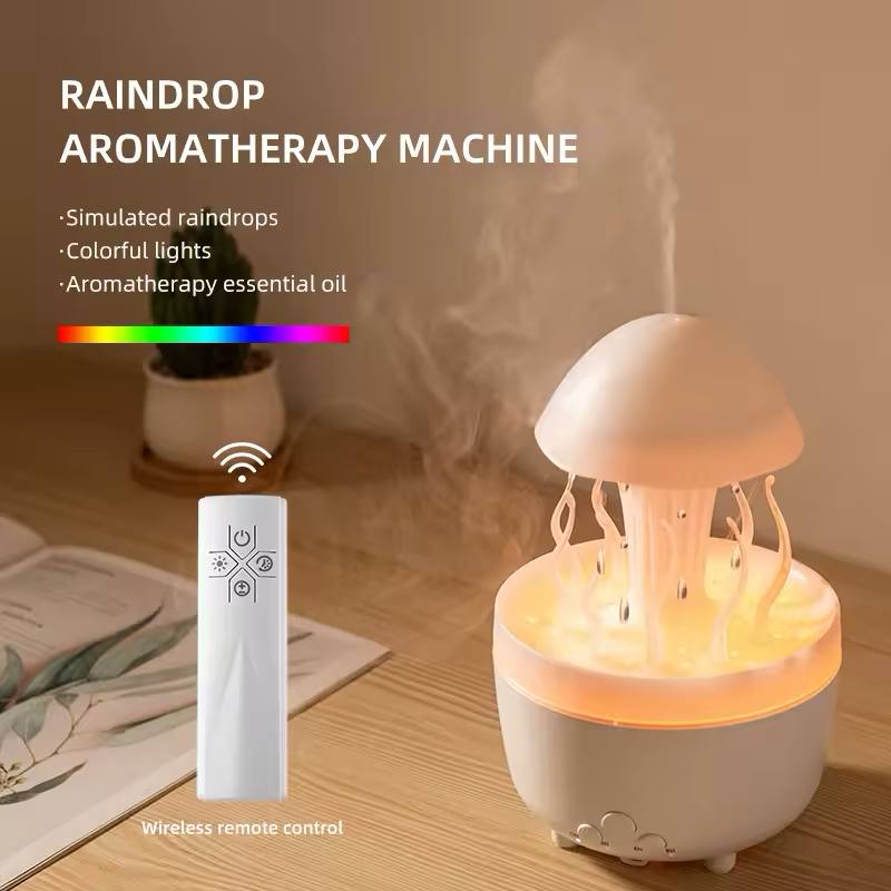 Rain Cloud Humidifier